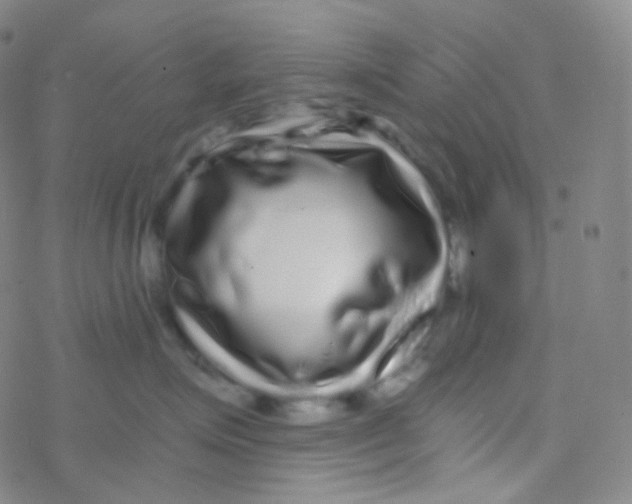 X0000076270623200610262032