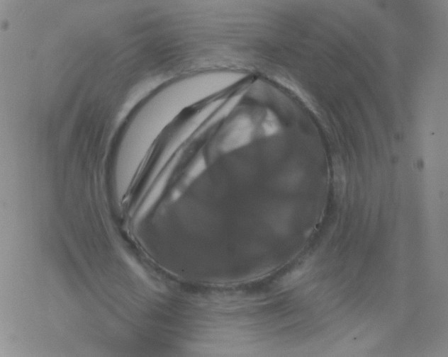 X0000076270626200610262031