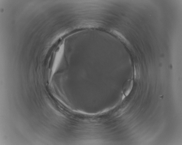 X0000076270627200610262031