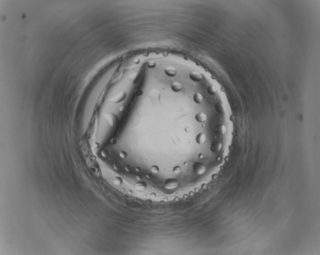 X0000076270628200610262031