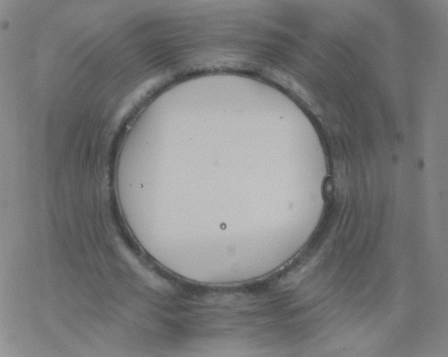 X0000076270629200610262031