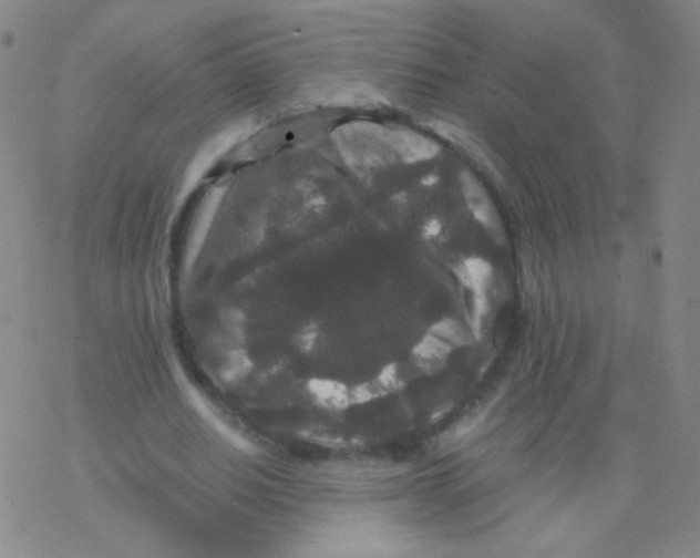 X0000076270630200610262031