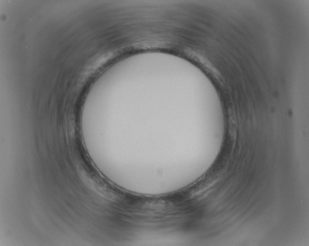 X0000076270631200610262031