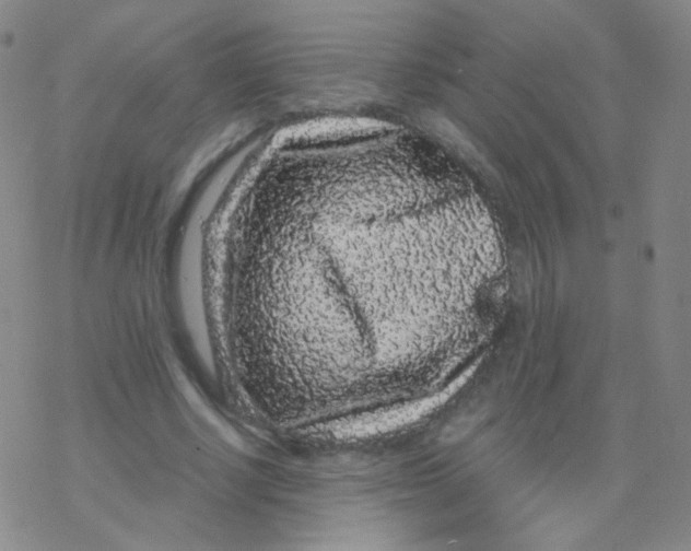 X0000076270634200610262031