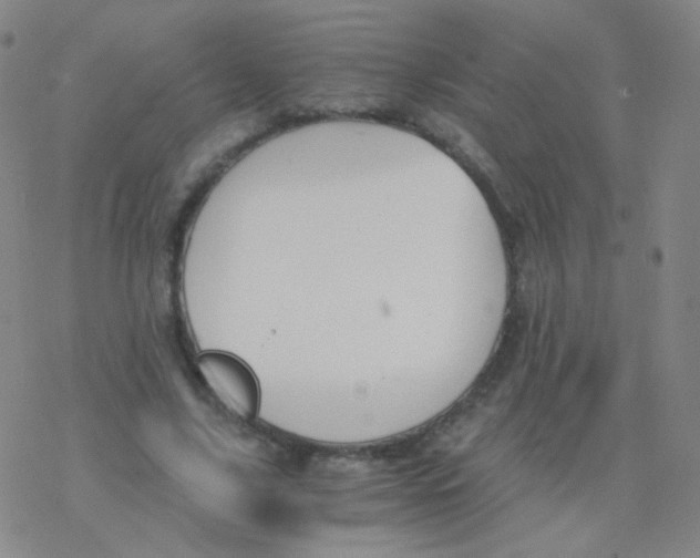 X0000076270635200610262031