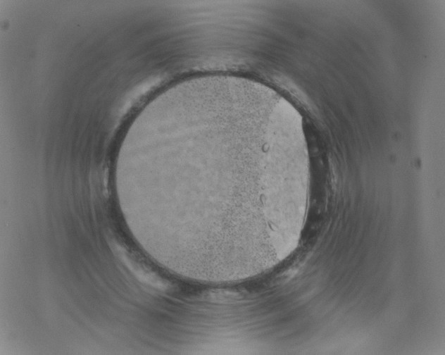 X0000076270636200610262031