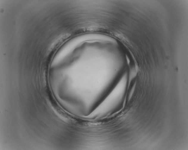 X0000076270638200610262031