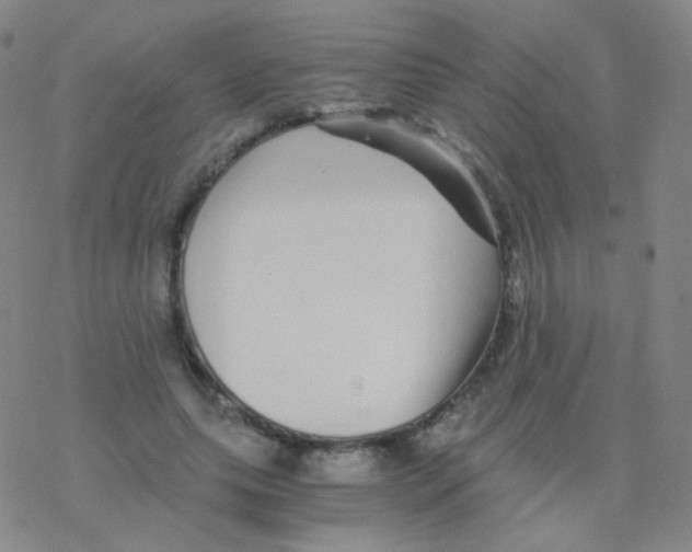 X0000076270639200610262031