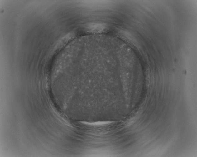 X0000076270641200610262031