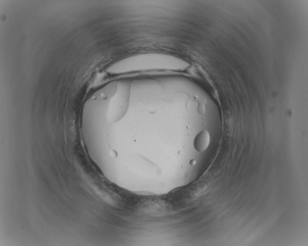 X0000076270642200610262031