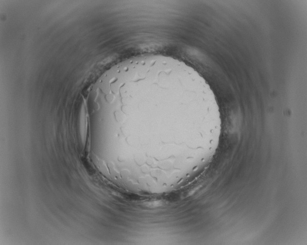 X0000076270646200610262031