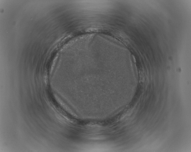 X0000076270648200610262031