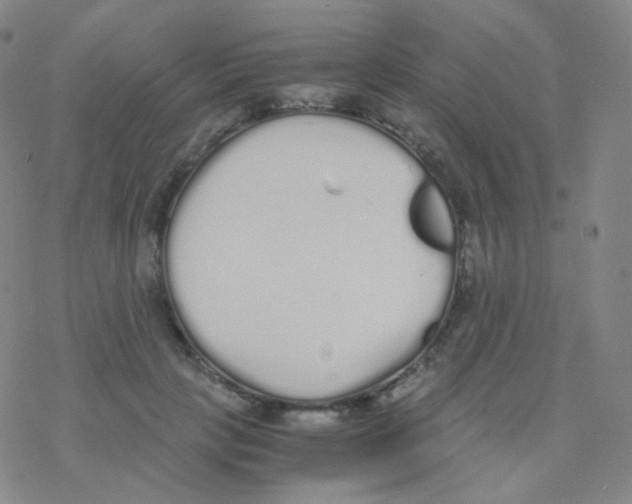 X0000076270649200610262031