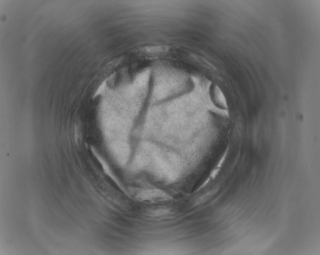 X0000076270651200610262031