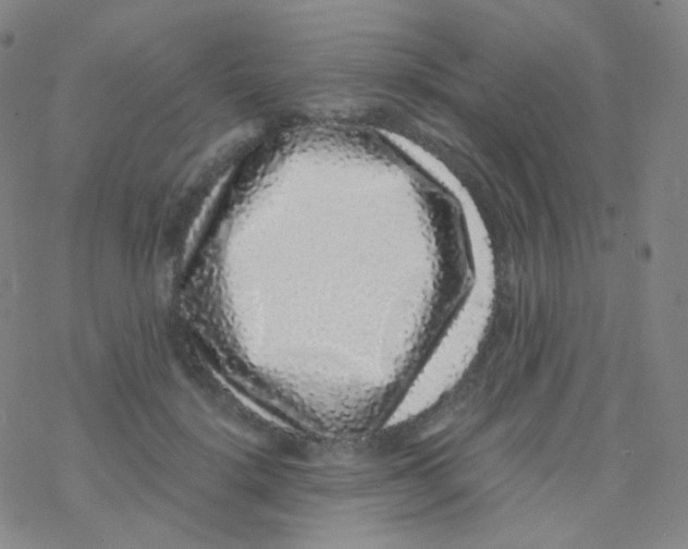 X0000076270652200610262031