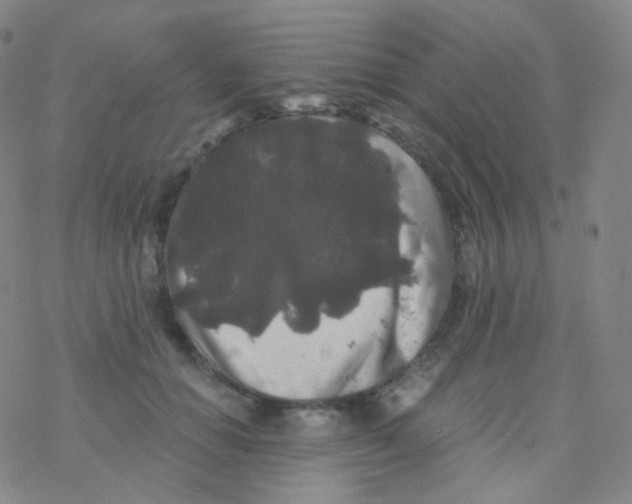 X0000076270654200610262031