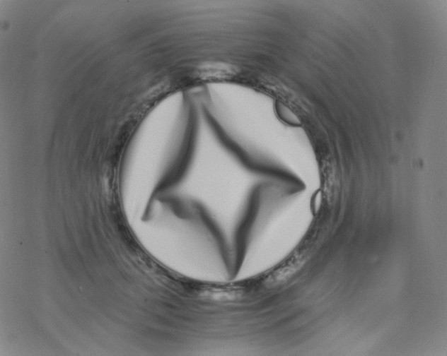 X0000076270655200610262031