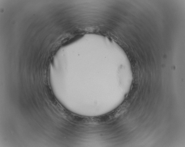 X0000076270656200610262031