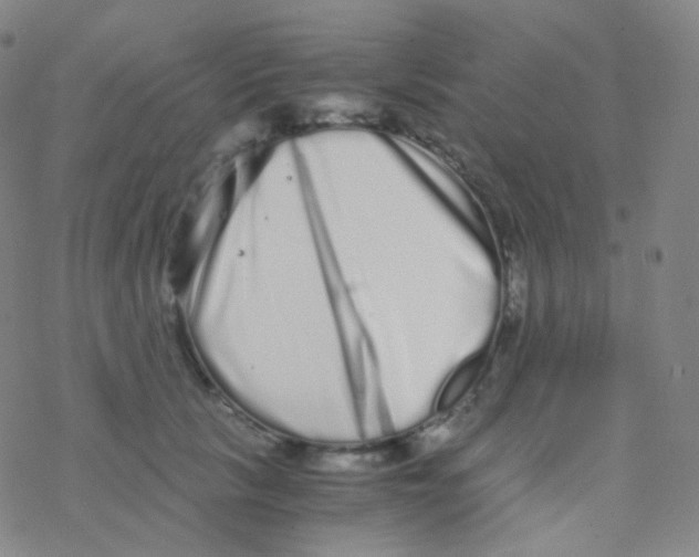 X0000076270657200610262031