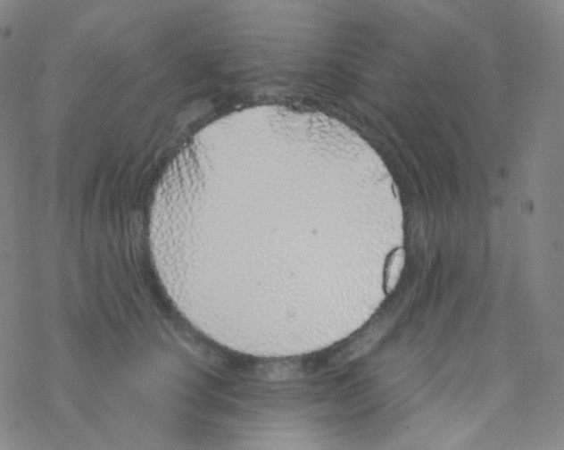 X0000076270660200610262032