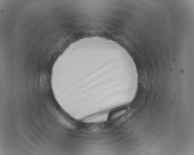 X0000076270662200610262032