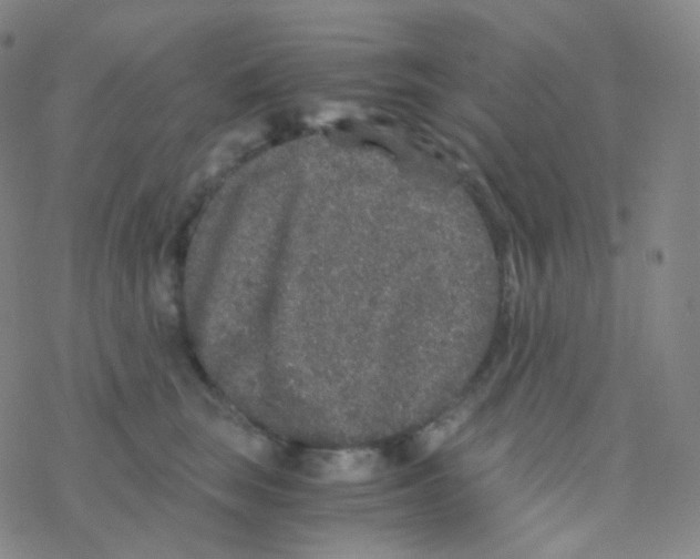 X0000076270663200610262032