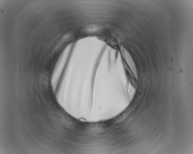 X0000076270664200610262032