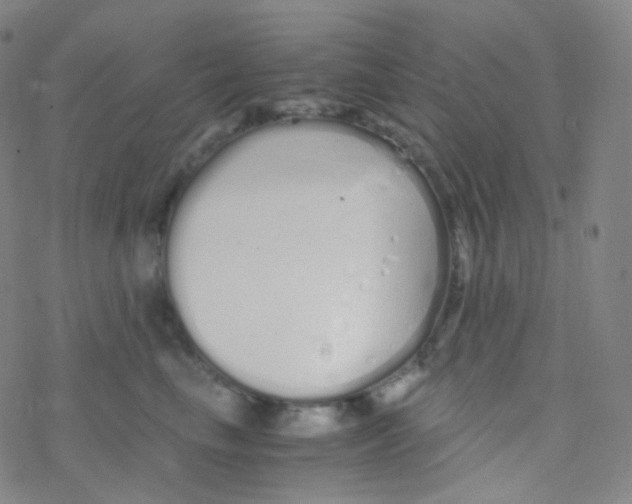 X0000076270665200610262032