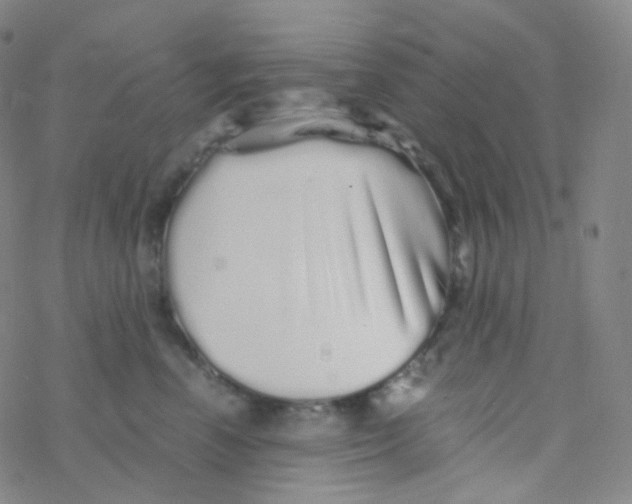 X0000076270666200610262032