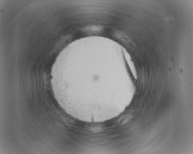 X0000076270667200610262032