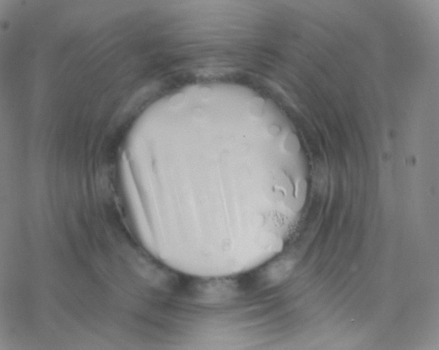 X0000076270670200610262032