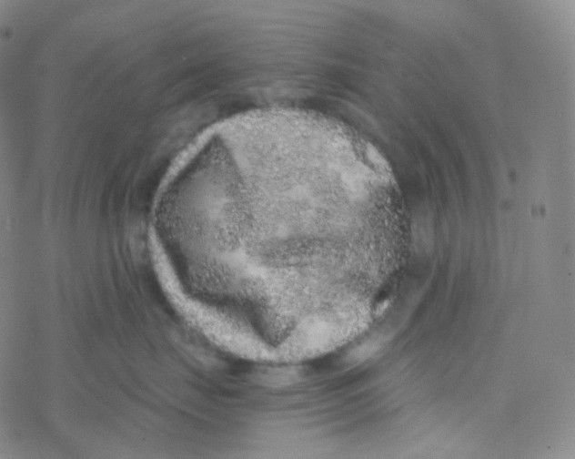 X0000076270671200610262032