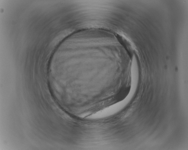 X0000076270673200610262031