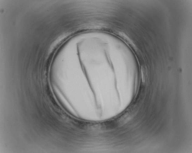 X0000076270675200610262031