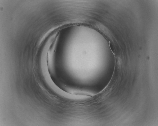 X0000076270676200610262031