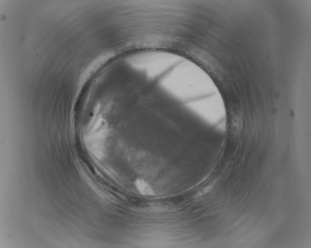 X0000076270678200610262031