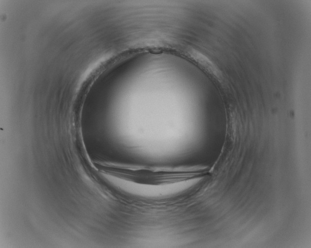 X0000076270680200610262031