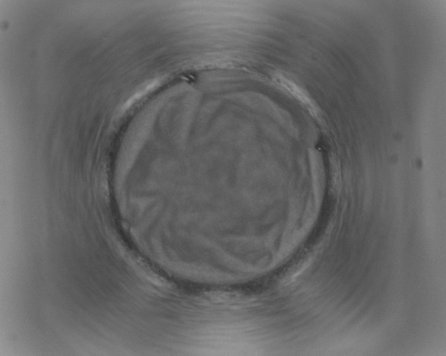 X0000076270681200610262031