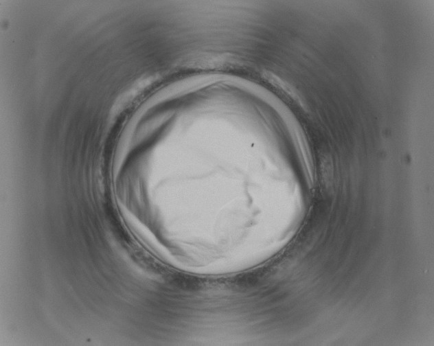 X0000076270682200610262031