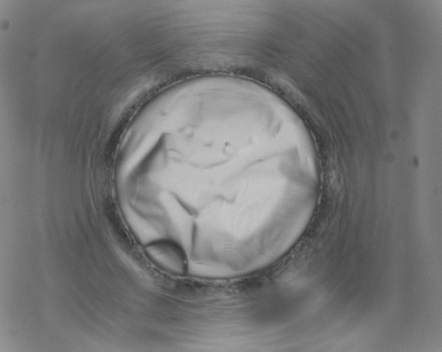 X0000076270683200610262031