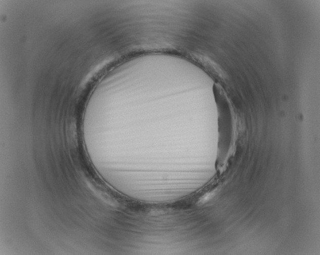 X0000076270684200610262031