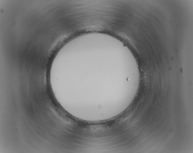 X0000076270686200610262031