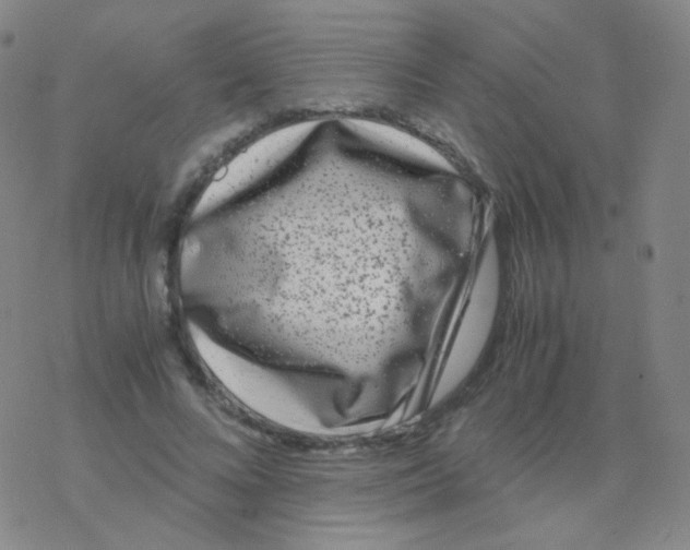 X0000076270688200610262031