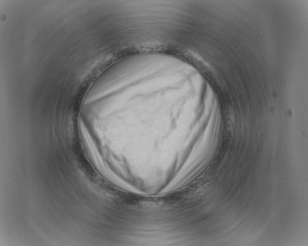 X0000076270690200610262031