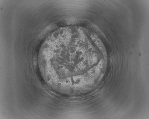 X0000076270691200610262031