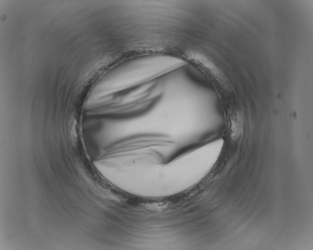 X0000076270692200610262031