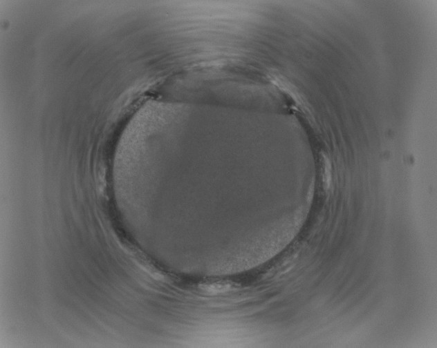 X0000076270693200610262031