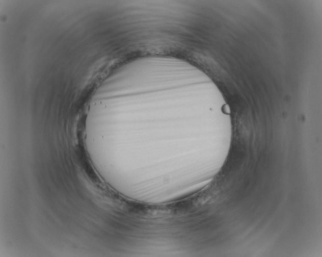 X0000076270694200610262031