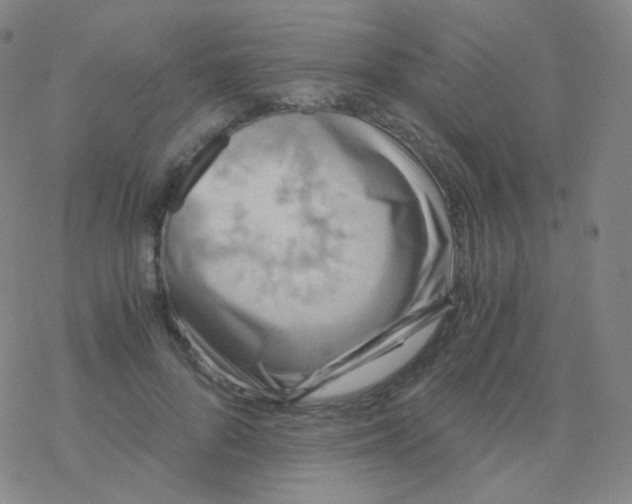 X0000076270696200610262031