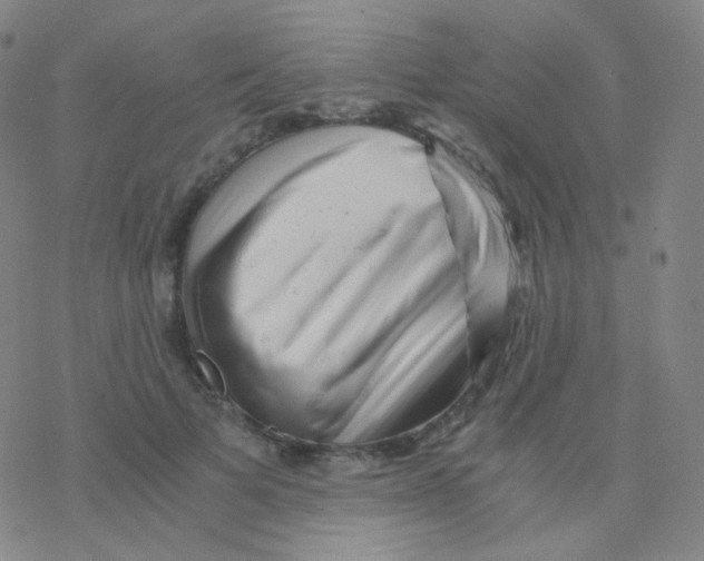 X0000076270697200610262031